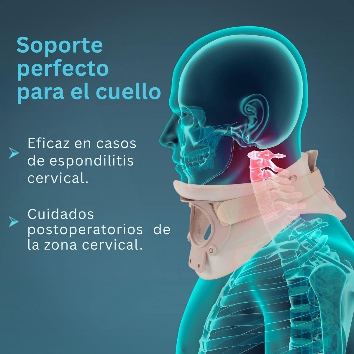 Collarin Philadelphia Tynor Cervical Inmovilizacion Adulto