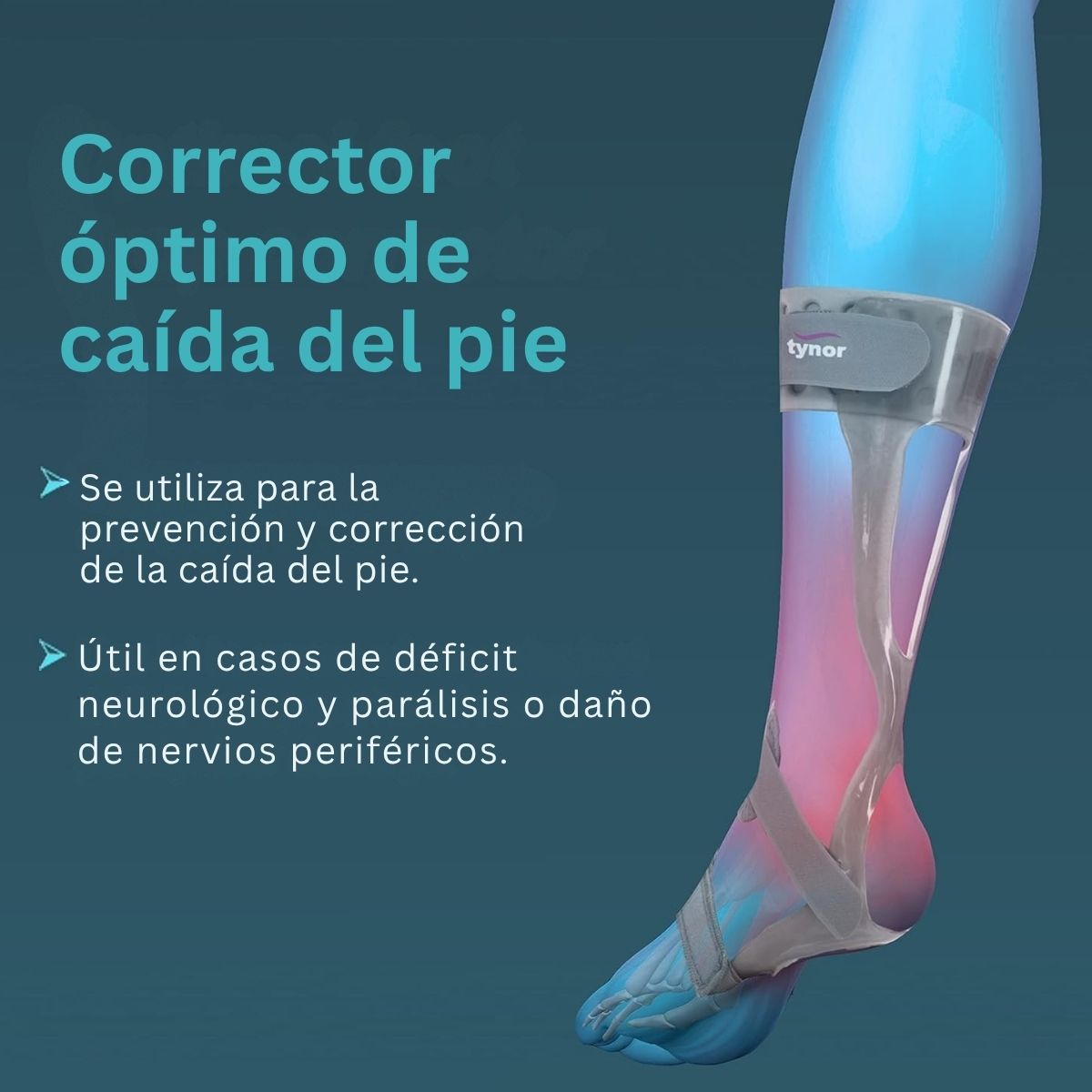 Ortesis Para Pie Tynor Tobillo Derecha Izquierda Ajustable Ortopédica