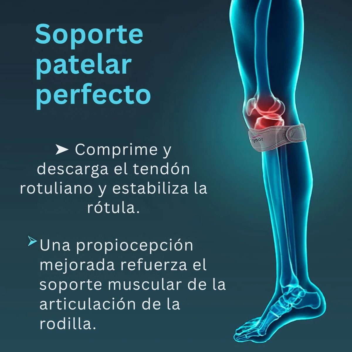 Anillo Subrotuliano Tynor Soporte P/Rotula Rehabilitacion