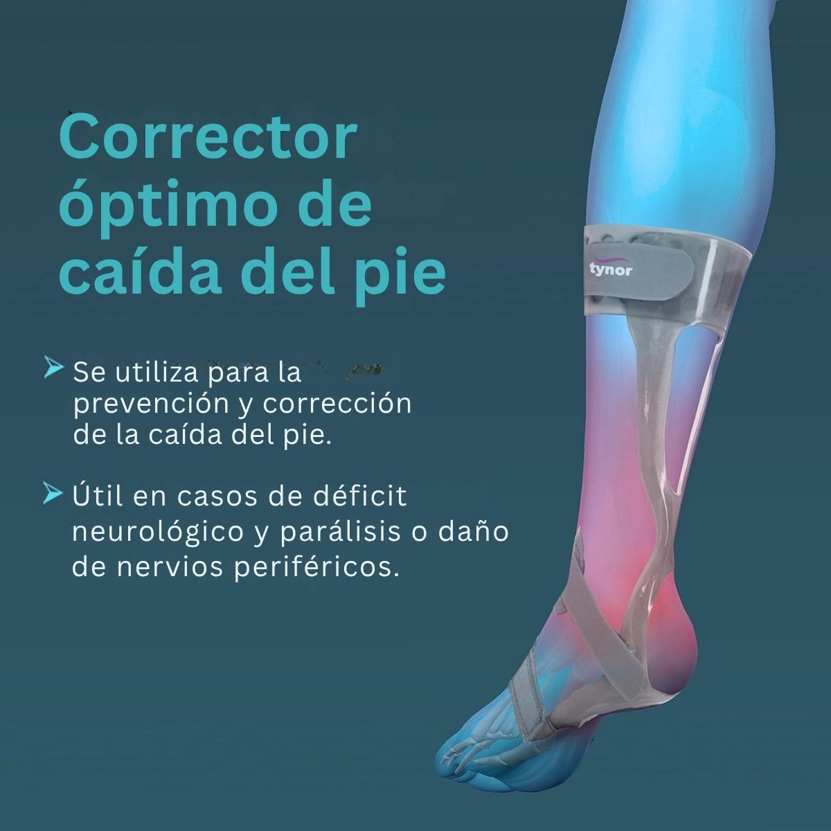 Ortesis P/Pie Tynor Ferula Ortopédica Derecha Acojinado