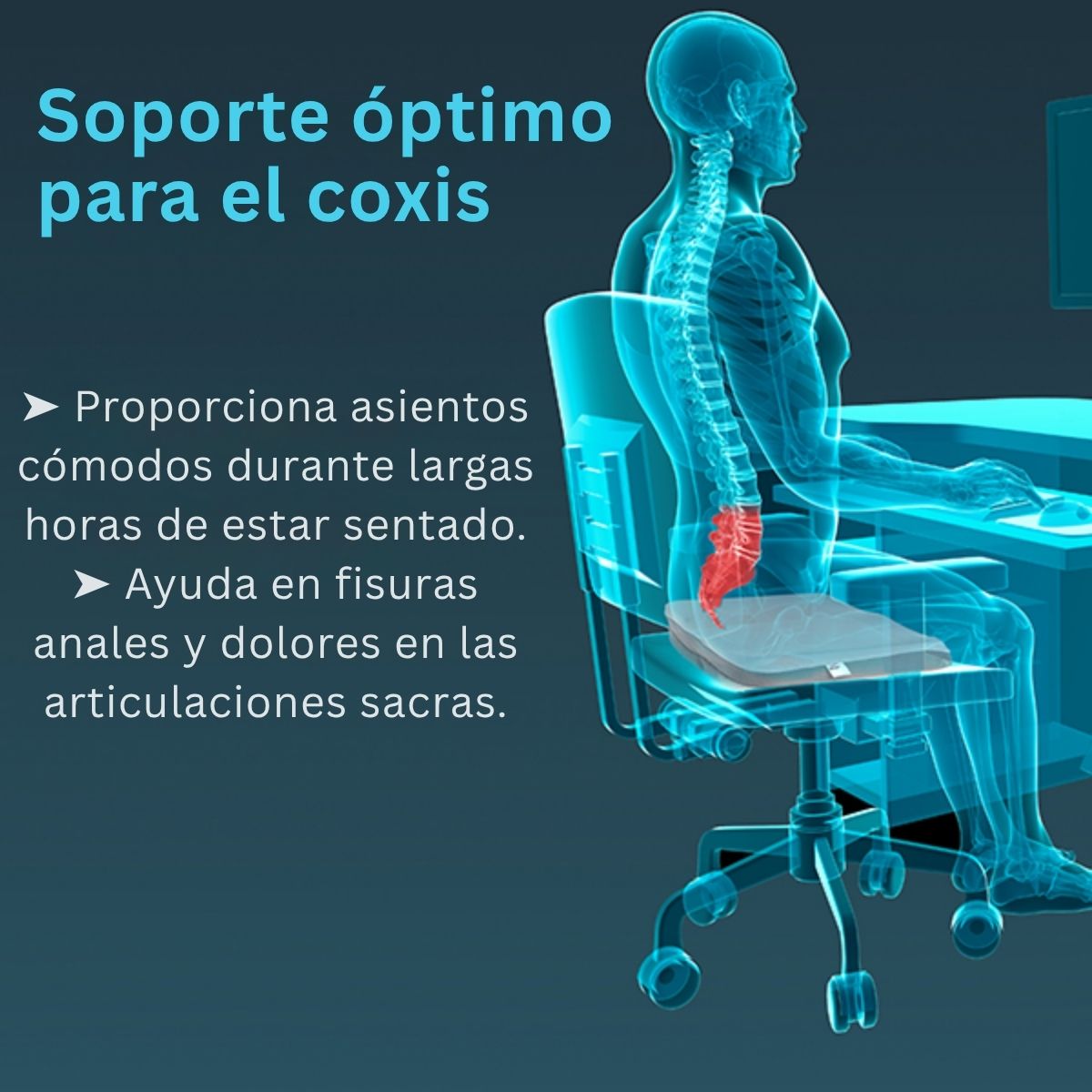 Cojin P/Coxis Tynor Comodo Ortopedico Silla Auto Ergonomico