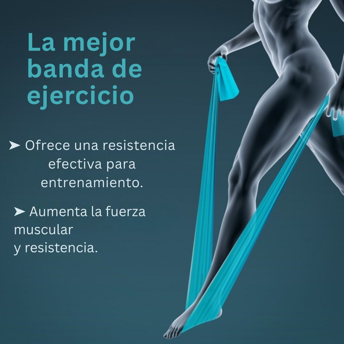 Banda de resistencia Tynor Elastica Tyroband Ejercicios 1.5m