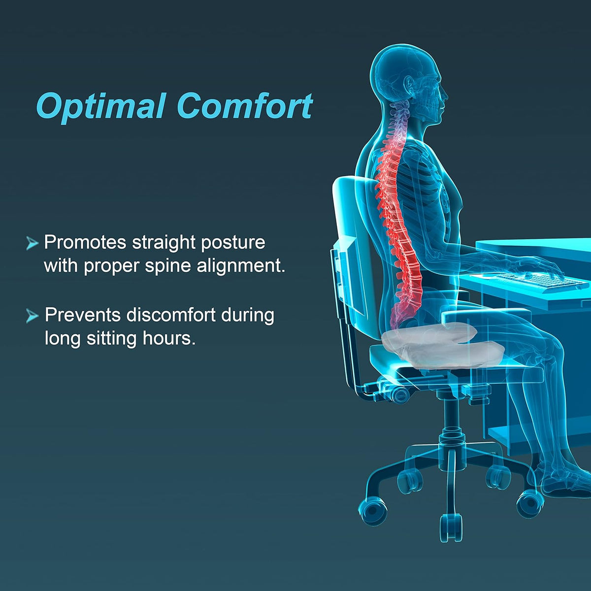 Asiento ortopedico Tynor Anatomico
