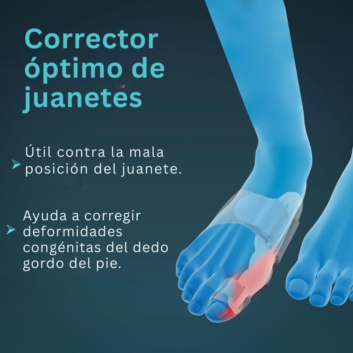 Ferula Hallux Valgus Tynor Correccion Juanetes Ortopedica
