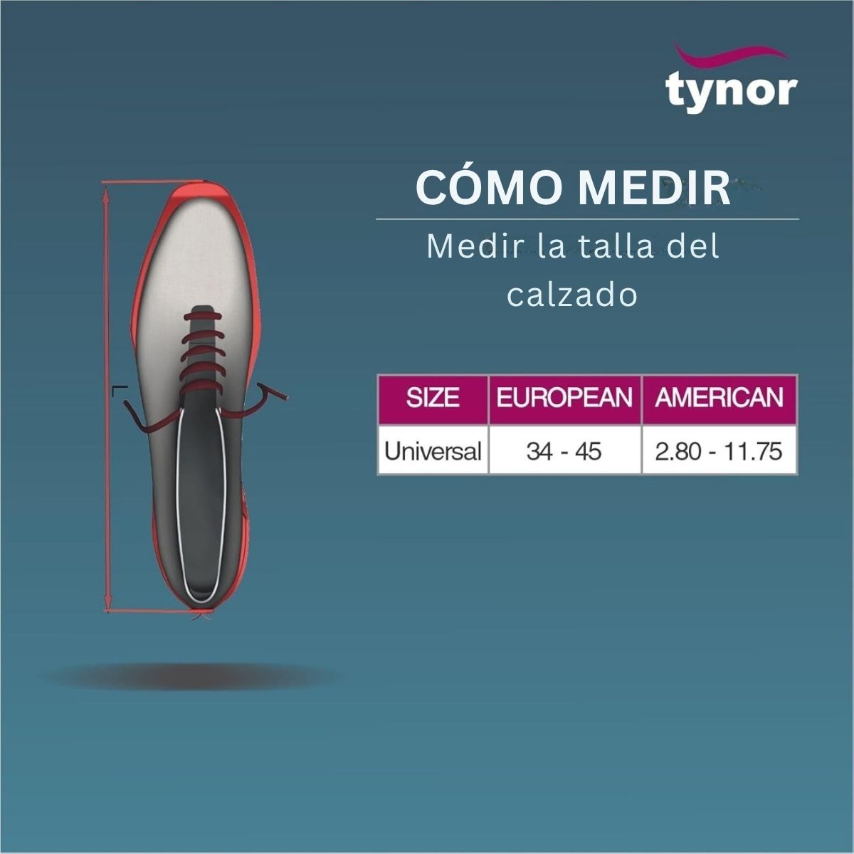 Ferula Hallux Valgus Tynor Correccion Juanetes Ortopedica