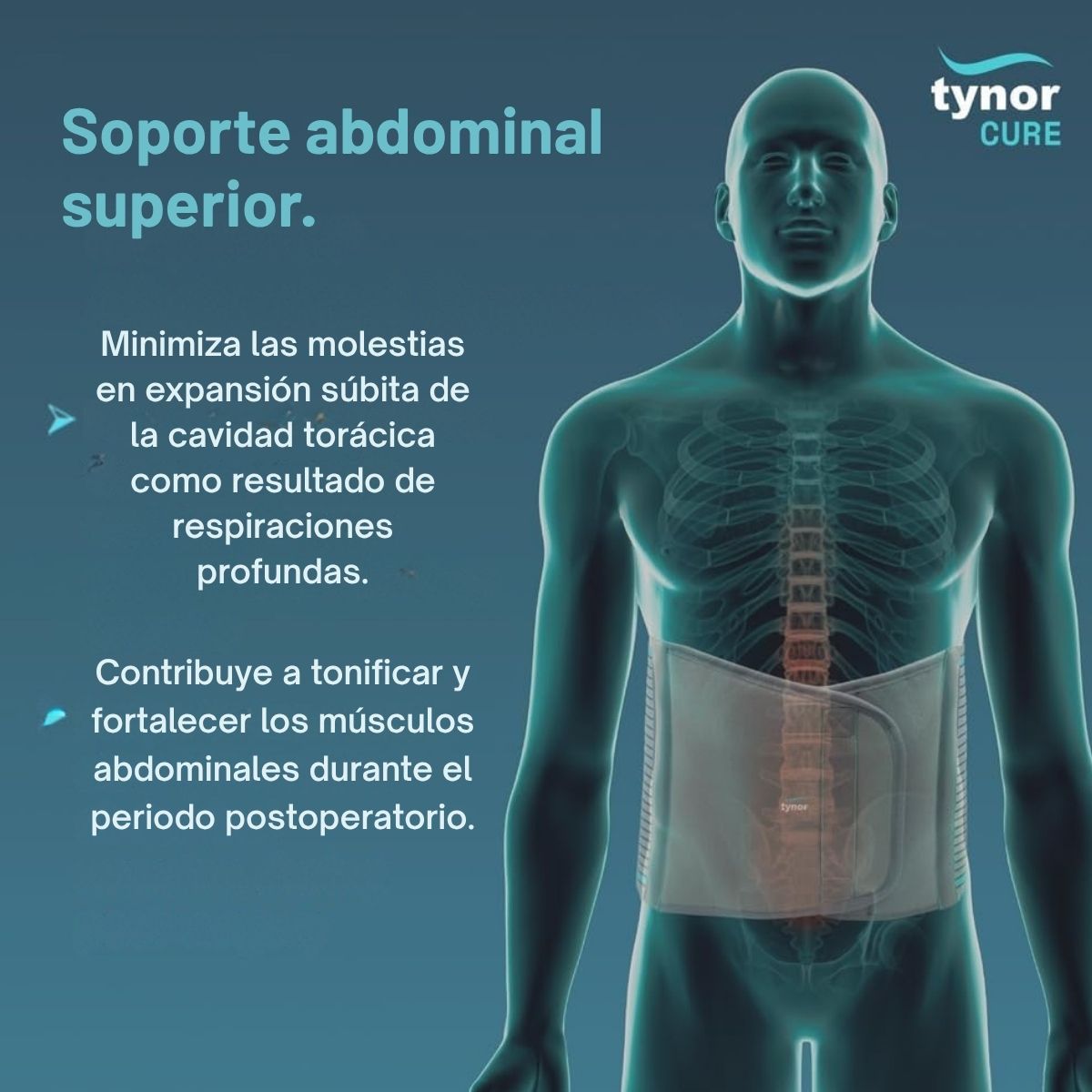 Faja Abdominal Tynor Soporte Abdominal Postoperatoria