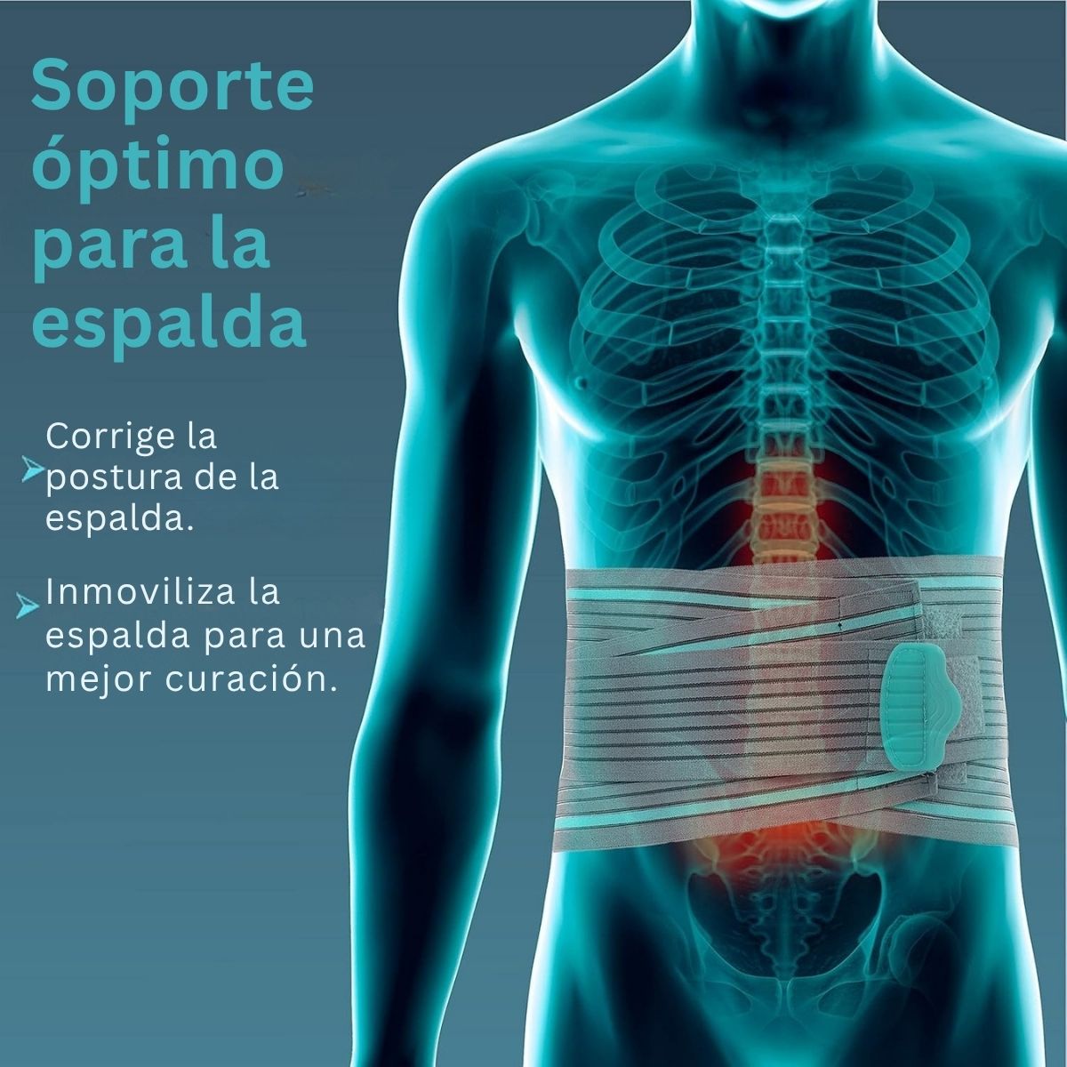 Faja Sacrolumbar Tynor Soporte Acojinado Ergonomico