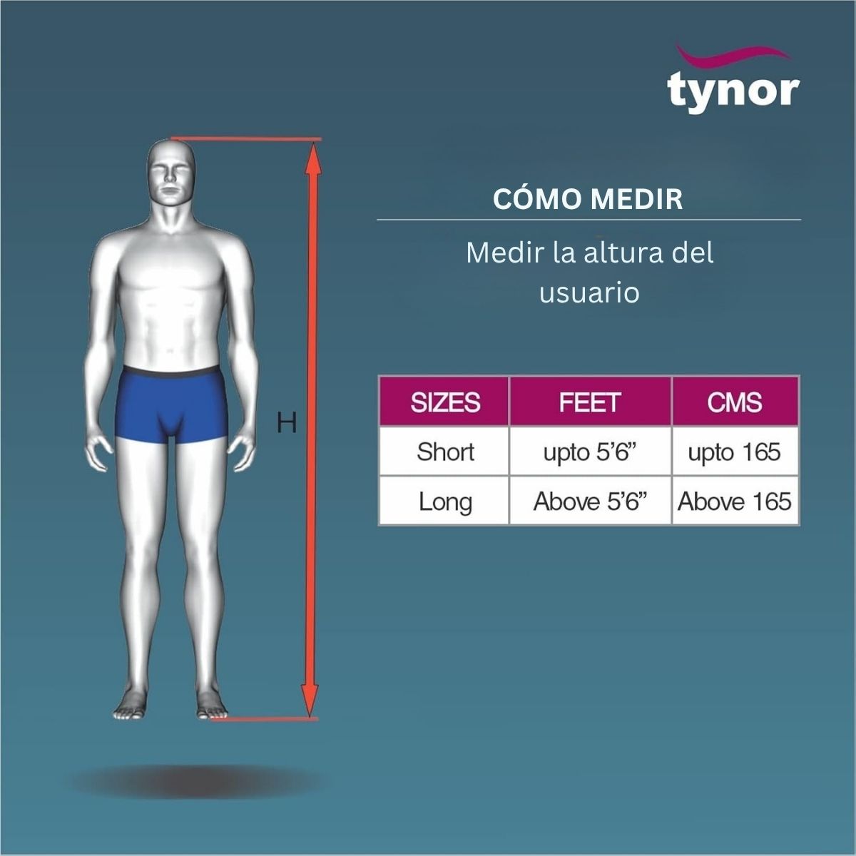 Soporte Hiperextencion Tynor Tipo Cash Ortopedico Columna
