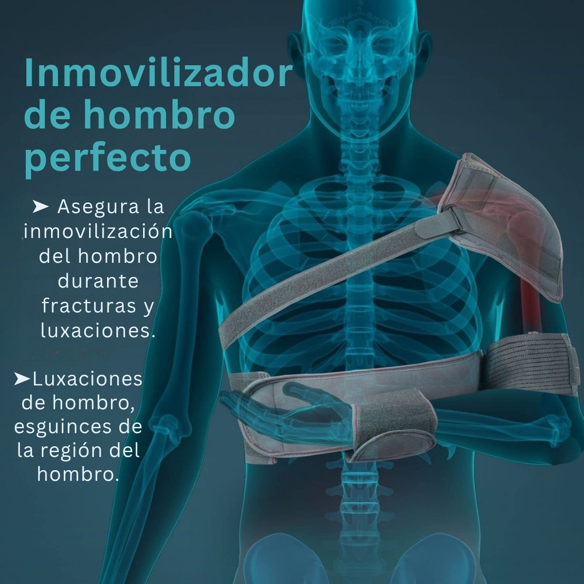 Inmovilizador D/hombro Tynor Con Soporte Ajustable Elastico