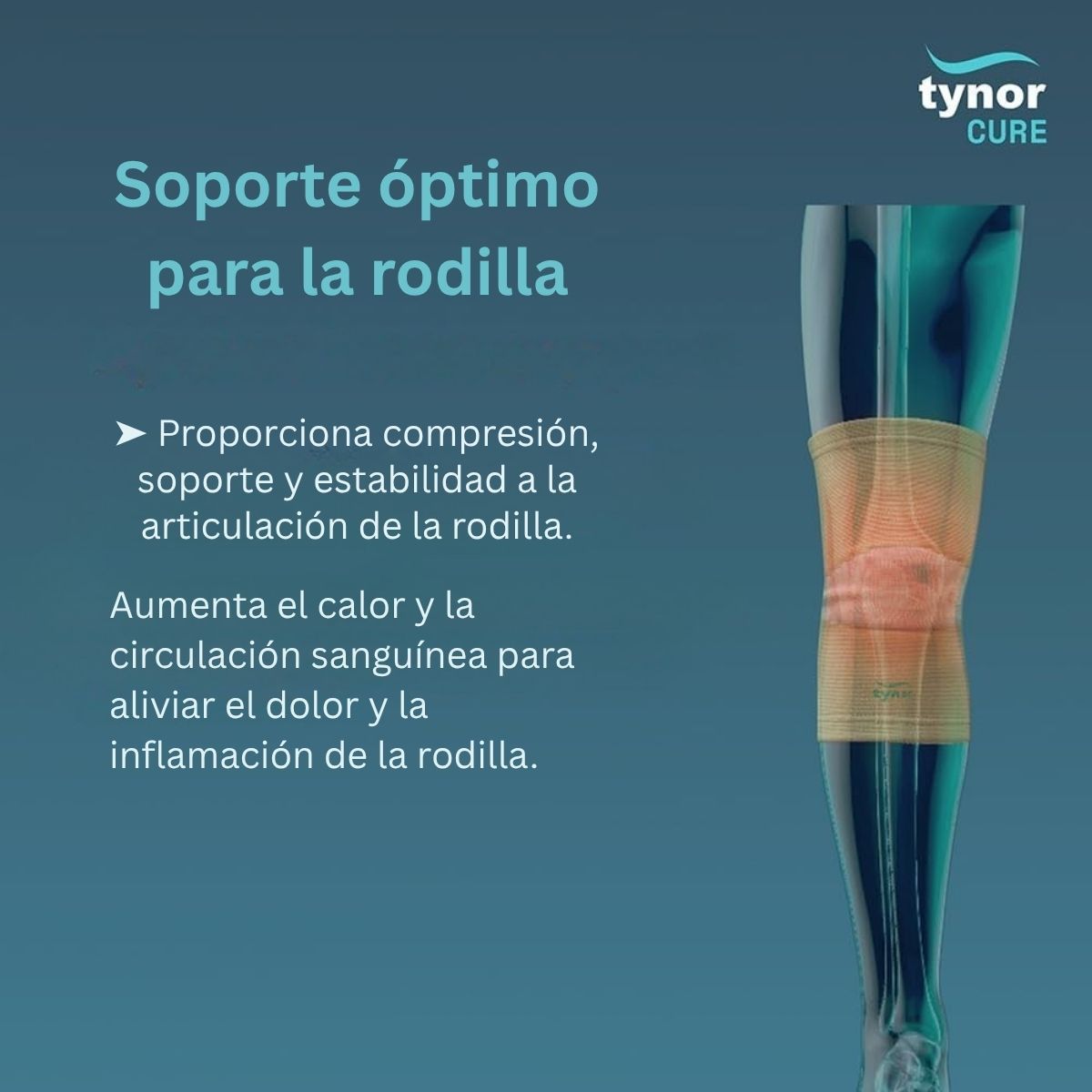 Rodillera Elástica Tynor Ortopedia Compresión Suave Par