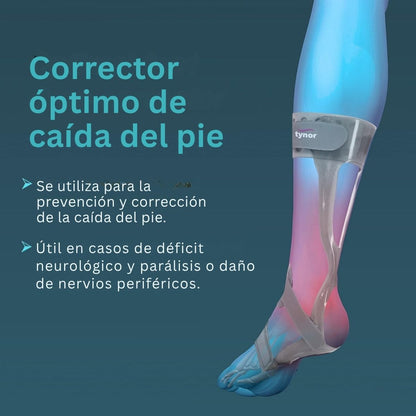 Ortesis P/Pie Tynor Ferula Ortopédica Derecha Acojinado