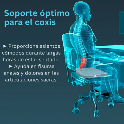 Cojin P/Coxis Tynor Comodo Ortopedico Silla Auto Ergonomico